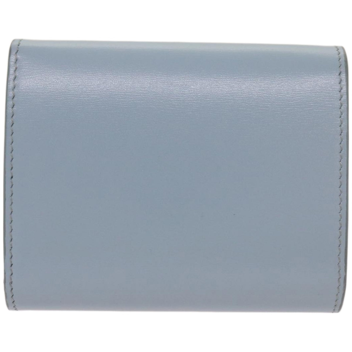 CELINE Wallet Leather Light Blue 10D783DPV Auth 66844A - 0