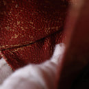 LOUIS VUITTON Damier Ebene Pochette Cosmetic PM Pouch N47516 LV Auth 69835-12