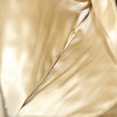 CHANEL Tote Bag Canvas Beige CC Auth 69969-20