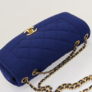 CHANEL Diana Matelasse Chain Shoulder Bag Canvas Blue Gold CC Auth 70391SAM-6
