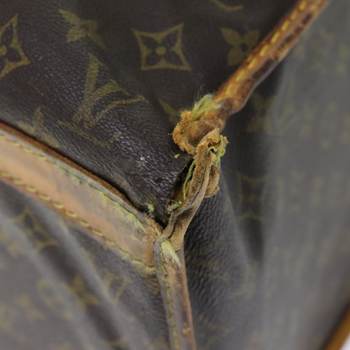 LOUIS VUITTON Monogram Sac Shan 50 Pet Carry M42021 LV Auth 72841