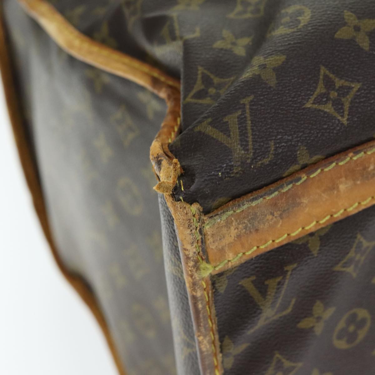 LOUIS VUITTON Monogram Sac Shan 50 Pet Carry M42021 LV Auth 72841