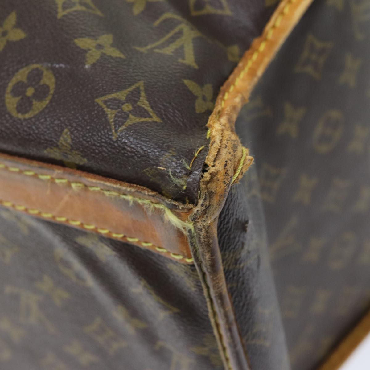 LOUIS VUITTON Monogram Sac Shan 50 Pet Carry M42021 LV Auth 72841