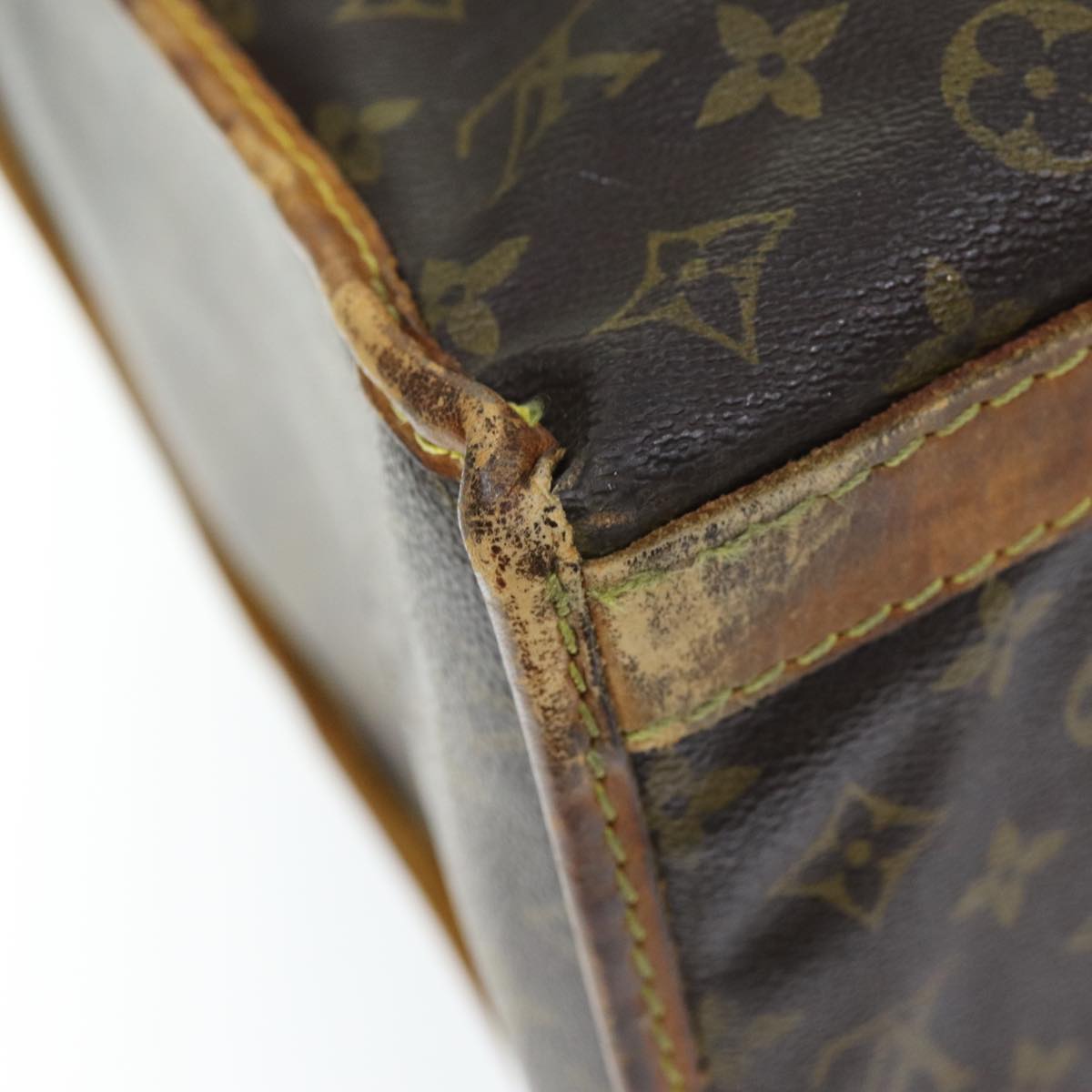 LOUIS VUITTON Monogram Sac Shan 50 Pet Carry M42021 LV Auth 72841