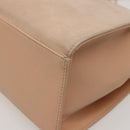 CELINE Hand Bag Suede Beige Auth 78321-18