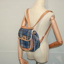 Burberrys Nova Check Shoulder Bag PVC Leather Blue Auth 78851-25