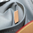 LOUIS VUITTON Monogram titanium Camera Bag Shoulder Bag Gray M43884 Auth 79277SA-11