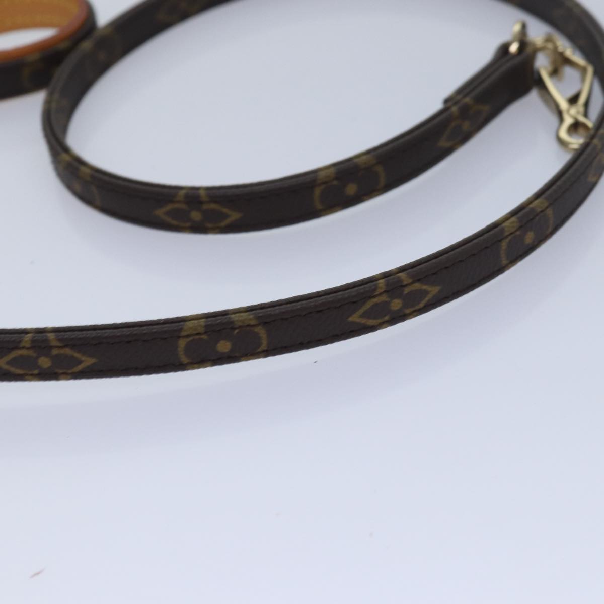 LOUIS VUITTON Monogram Less Baxter MM Dog Leash M58056 LV Auth 79348