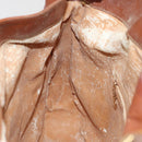 GUCCI Bamboo Shoulder Bag Leather Brown 001 1781 1577 Auth 80180-20