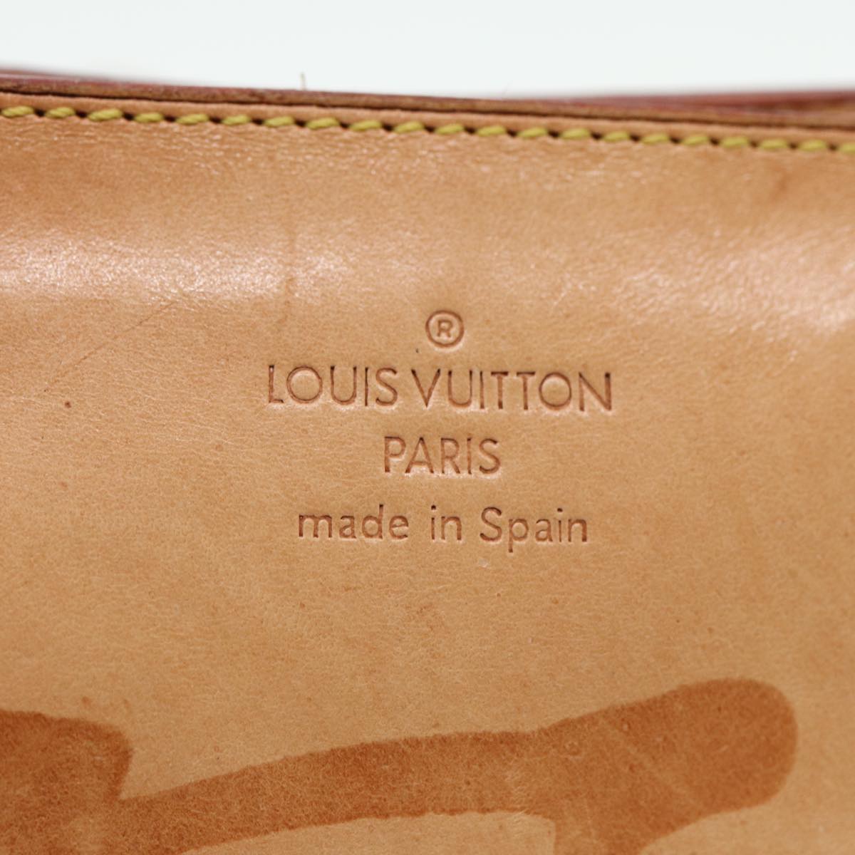 LOUIS VUITTON Monogram Vinyl Cabas Amble PM Tote Bag Brown LV Auth 80349