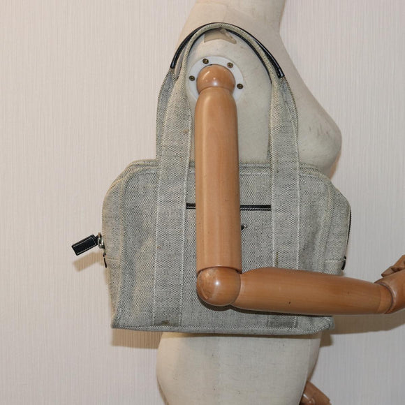 PRADA Hand Bag Canvas Gray Auth 82074
