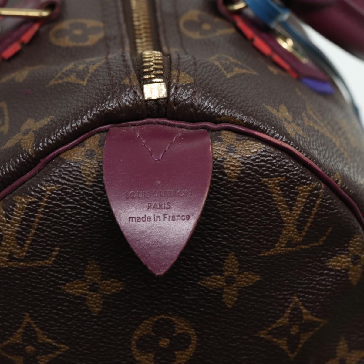 LOUIS VUITTON Monogram Totem Speedy 30 Hand Bag M41666 LV Auth 83082