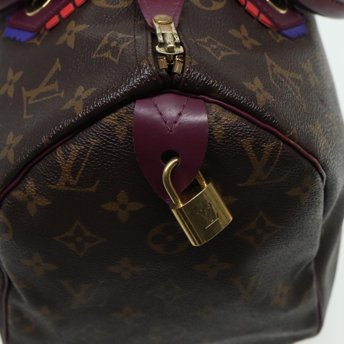 LOUIS VUITTON Monogram Totem Speedy 30 Hand Bag M41666 LV Auth 83082