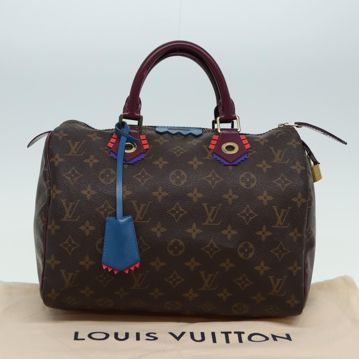 LOUIS VUITTON Monogram Totem Speedy 30 Hand Bag M41666 LV Auth 83082