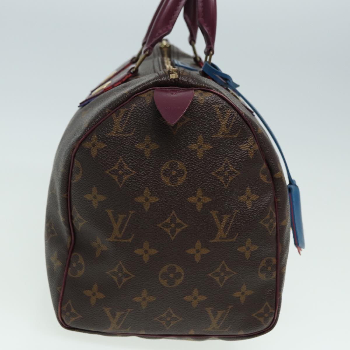 LOUIS VUITTON Monogram Totem Speedy 30 Hand Bag M41666 LV Auth 83082