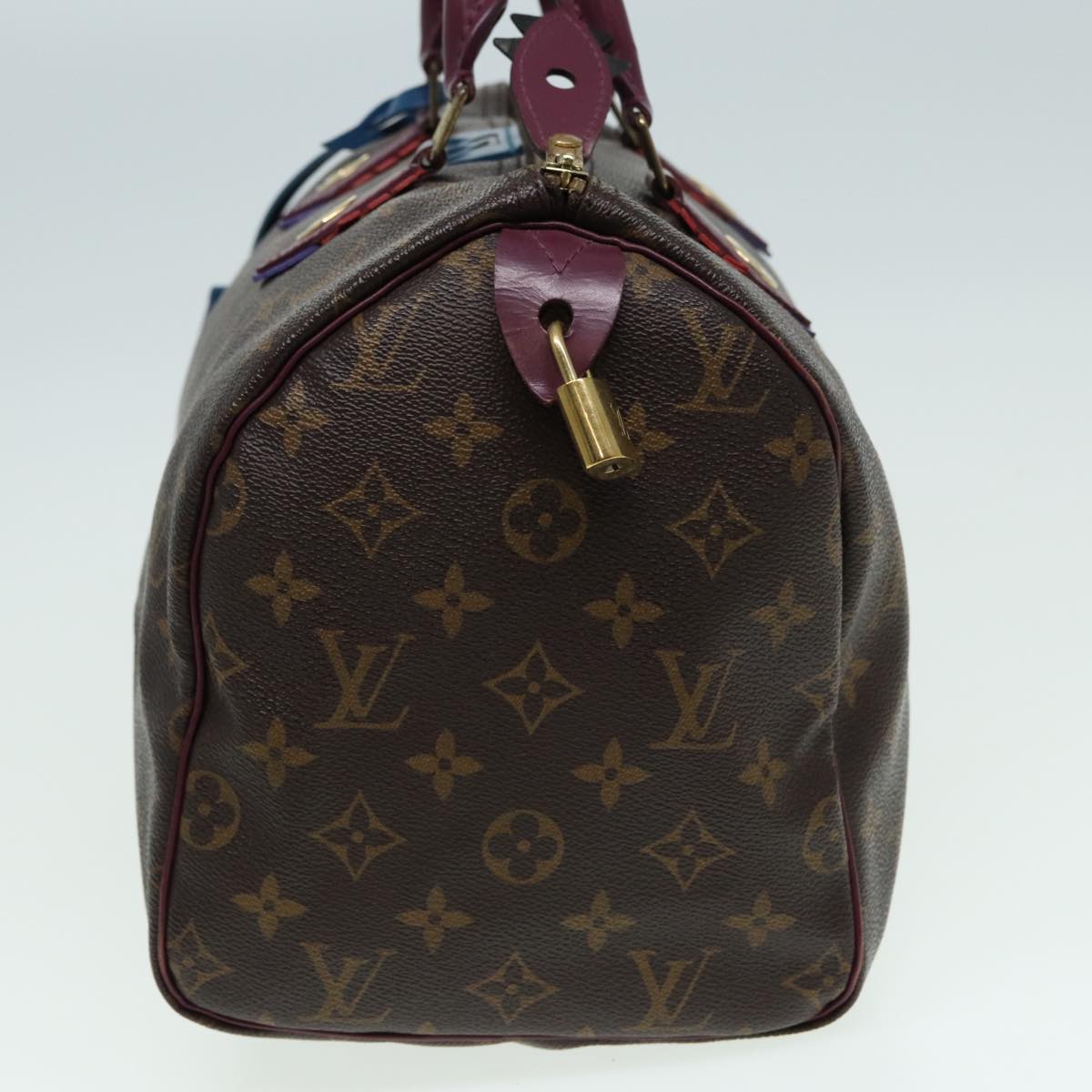 LOUIS VUITTON Monogram Totem Speedy 30 Hand Bag M41666 LV Auth 83082