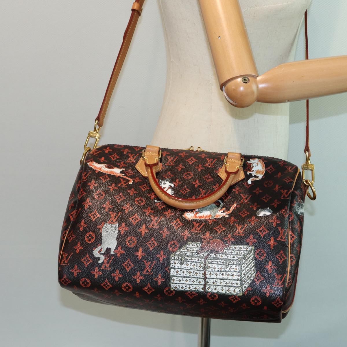 LOUIS VUITTON Catgram Speedy Bandouliere 30 Hand Bag Brown M44401 LV Auth 84188