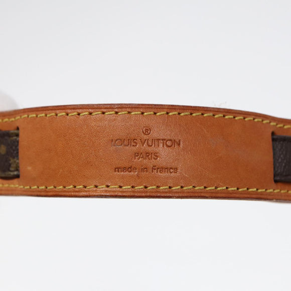 LOUIS VUITTON Monogram Danube Shoulder Bag M45266 LV Auth 86089