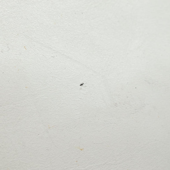 CELINE Shoulder Bag Leather White Silver Auth 86175