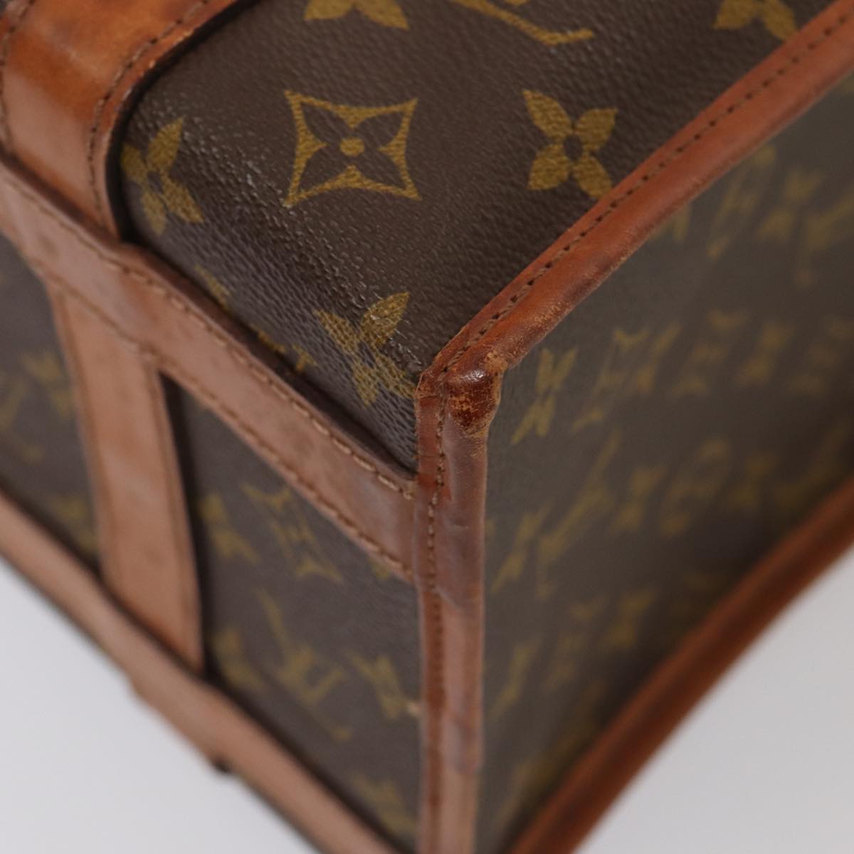 LOUIS VUITTON Monogram Sac Shan 30 Pet Carry M42024 LV Auth 87233