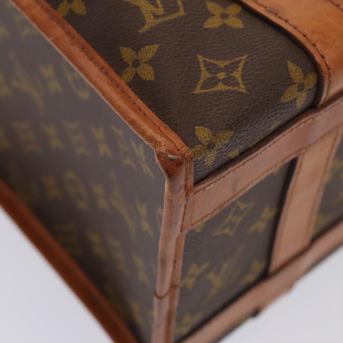 LOUIS VUITTON Monogram Sac Shan 30 Pet Carry M42024 LV Auth 87233