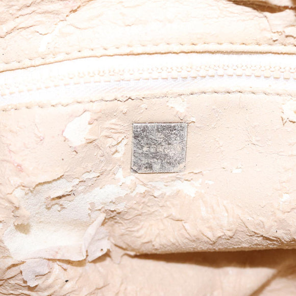 FENDI Zucca Canvas Vanity Pouch Brown Black Silver Auth 87877