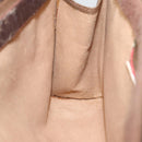 GUCCI GG Supreme Web Sherry Line Clutch Bag PVC Beige Red 89 01 032 Auth 88286-17