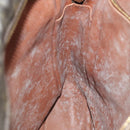 LOUIS VUITTON Monogram Danube GM Shoulder Bag M45262 LV Auth 88515-23