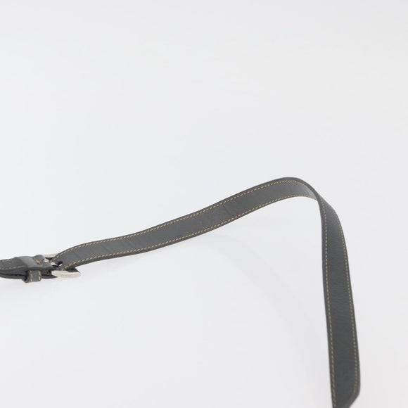 PRADA Shoulder Bag Nylon Gray Silver Auth 89792