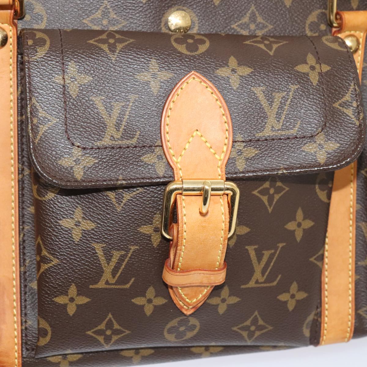 LOUIS VUITTON Monogram Sack Baxter PM Pet Carry M42027 LV Auth 92002