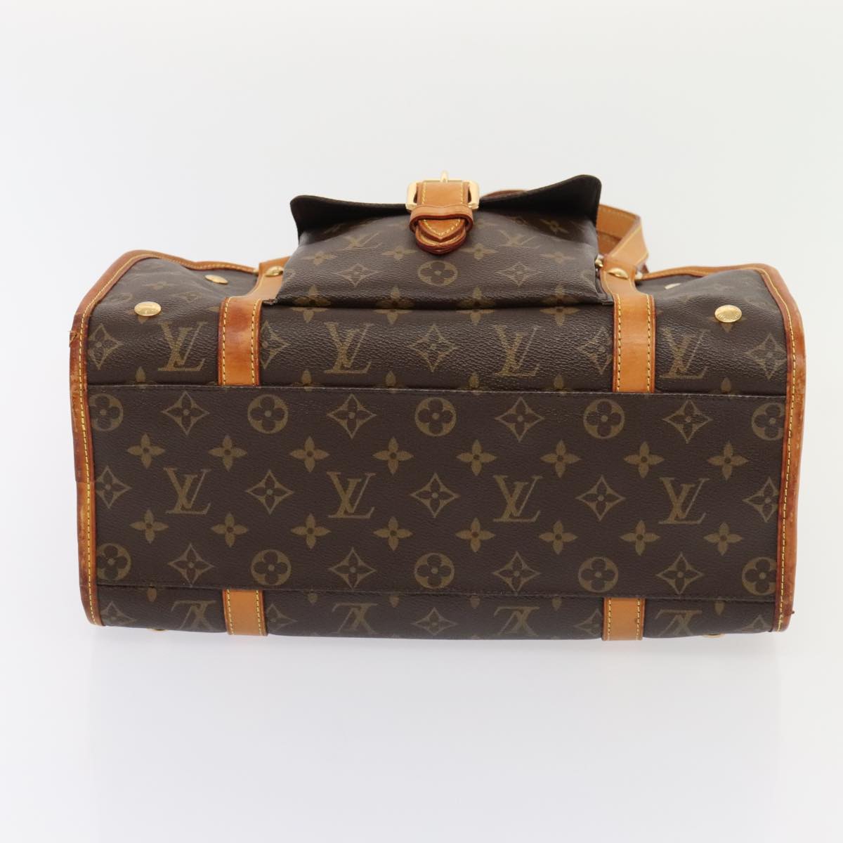 LOUIS VUITTON Monogram Sack Baxter PM Pet Carry M42027 LV Auth 92002