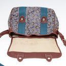 CELINE C Sulky Shoulder Bag PVC Gray Brown gold Auth 92150-10