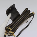 CELINE Macadam Canvas Accessoire-Tasche PVC Leder Weiß Gold Auth 93826AV-7