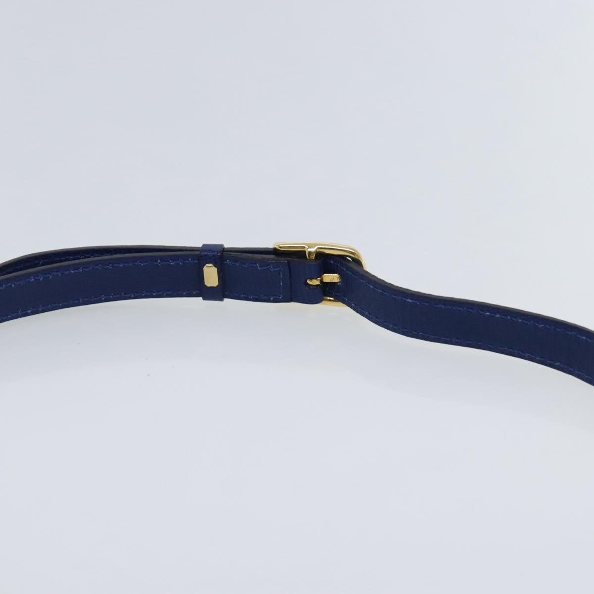 CELINE Shoulder Bag Leather Blue Gold Auth 94799