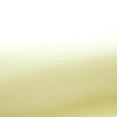 LOUIS VUITTON Monogram Vernis Spring Street Bag Lime Yellow M91068 Auth 96889-19