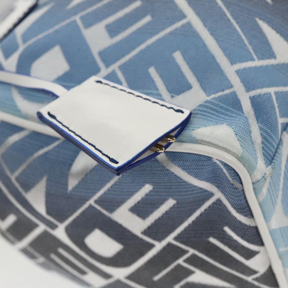 FENDI Zucca Canvas Hand Bag Blue Gold Auth 97002AV