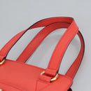 CELINE Hand Bag Leather Orange Gold Auth 97815-14