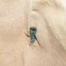 GUCCI GG Supreme Web Sherry Line Shoulder Bag PVC Beige 98 02 004 Auth 98076-10