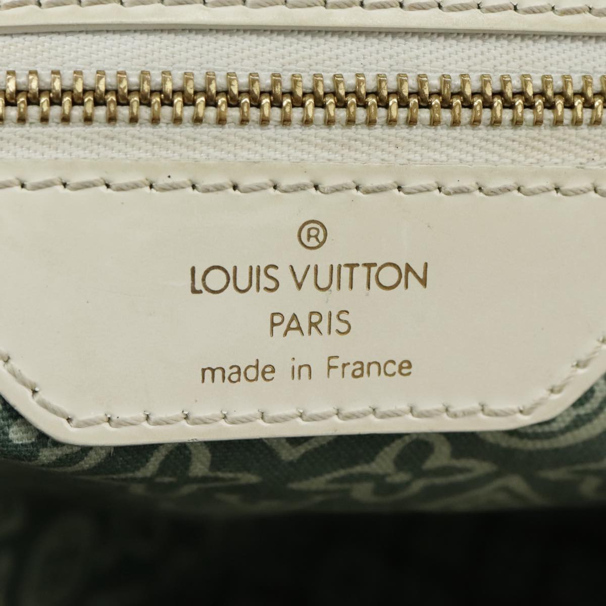 LOUIS VUITTON Cruise line Taicienne PM Bag Canvas Green M95678 LV Auth 98335