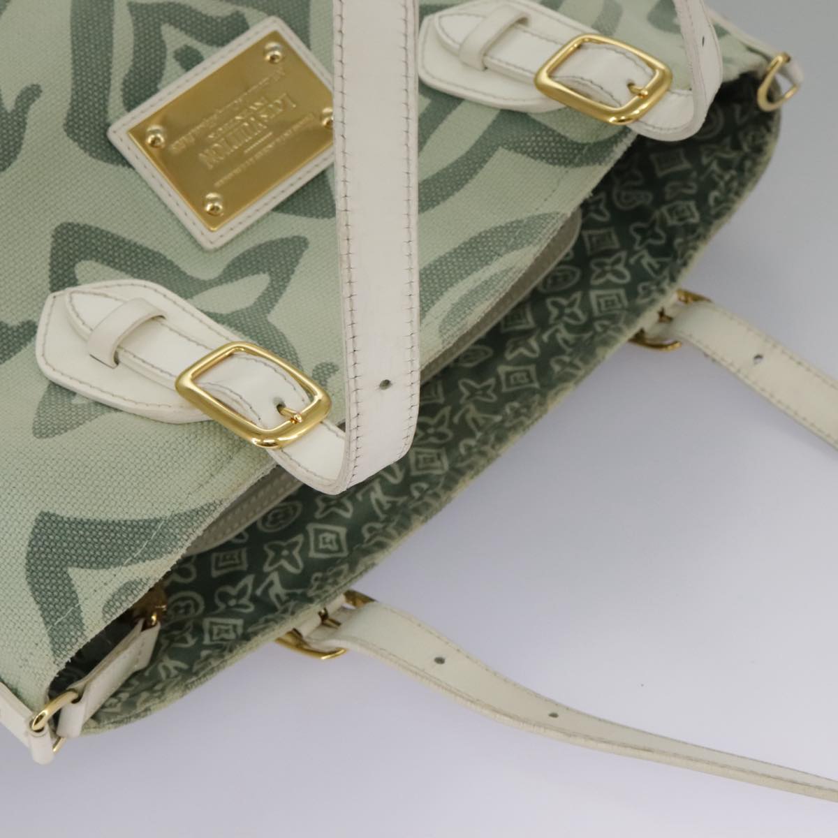 LOUIS VUITTON Cruise line Taicienne PM Bag Canvas Green M95678 LV Auth 98335