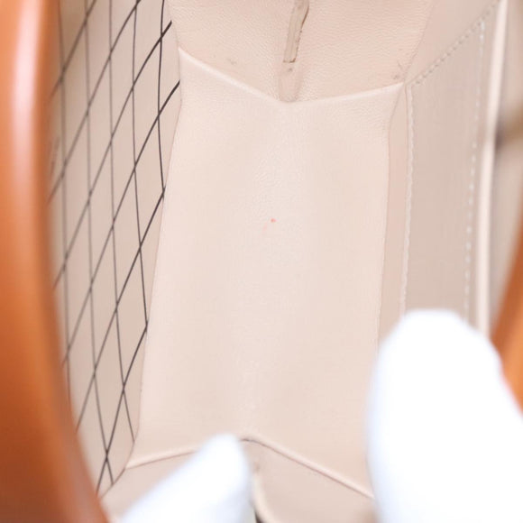 LOUIS VUITTON Catgram Petite Boite Chapeau Shoulder Bag Brown M52972 Auth 98529SM