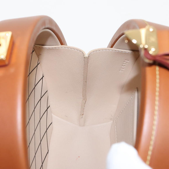 LOUIS VUITTON Catgram Petite Boite Chapeau Shoulder Bag Brown M52972 Auth 98529SM