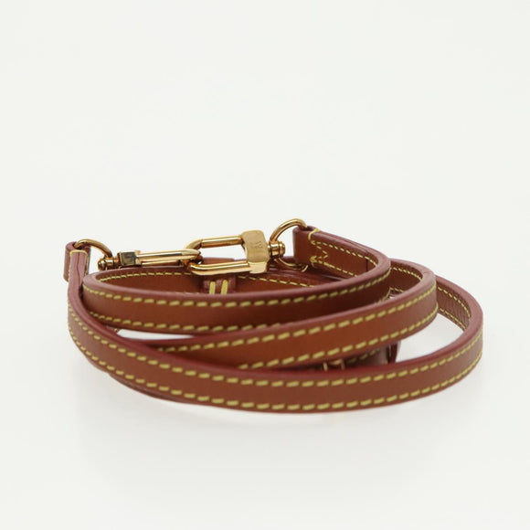 LOUIS VUITTON Catgram Petite Boite Chapeau Shoulder Bag Brown M52972 Auth 98529SM