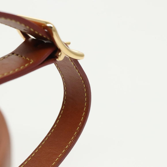 LOUIS VUITTON Catgram Petite Boite Chapeau Shoulder Bag Brown M52972 Auth 98529SM