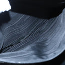 CELINE Macadam Canvas Shoulder Bag PVC Leather Black Gold Auth 99656-21