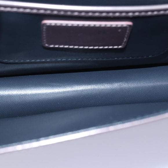 Christian Dior Lady Dior Canage Chain Shoulder Bag PVC Pink Auth ac3024V