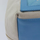 BALENCIAGA Navy Cabas S Hand Bag Canvas Blue Gray 339933 Auth ac3029V-12