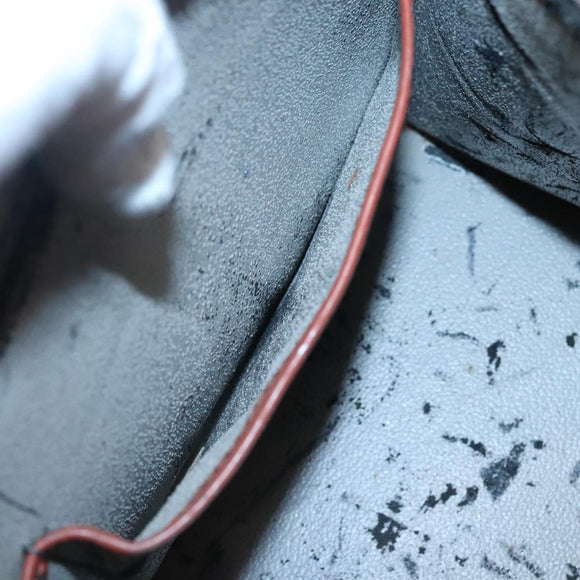 LOUIS VUITTON Epi Riviera Hand Bag Brown M48183 LV Auth ac3809