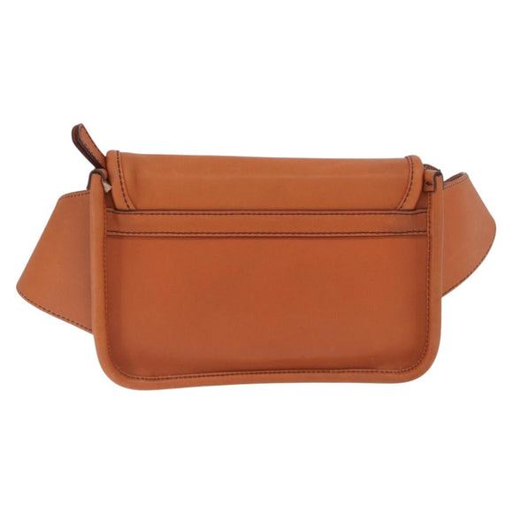 Coach Body Bag Leather Brown Auth am10204