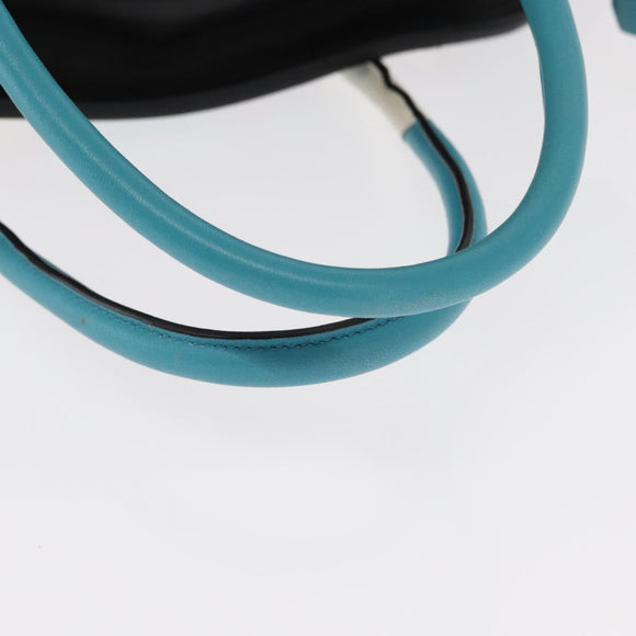 PRADA Hand Bag Nylon Leather 2way Multicolor Gold Auth am10244SAM